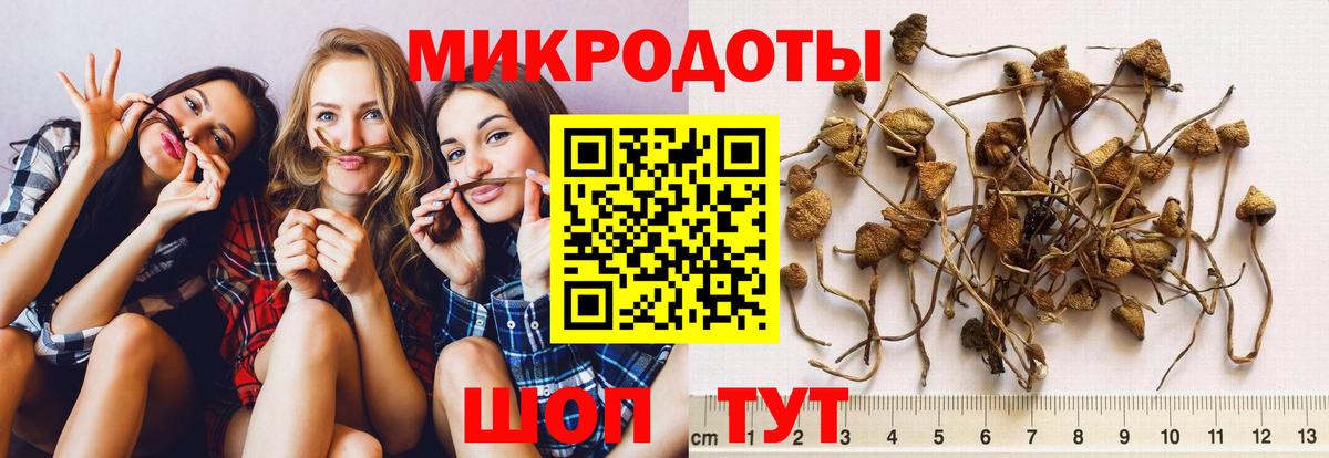 как найти   Псилоцибиновые грибы мицелий  Вход с VPN  Моздок  Галлюциногенные грибы прущие грибы 